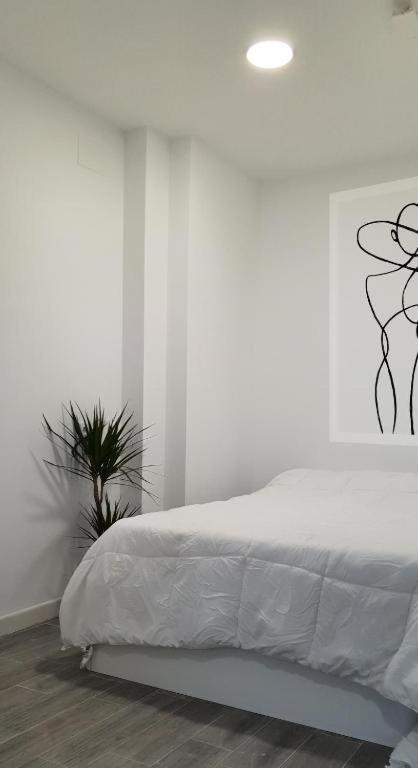 Coqueto Apartamento Nuevo En Pleno Centro De Algeciras Bb Eksteriør billede